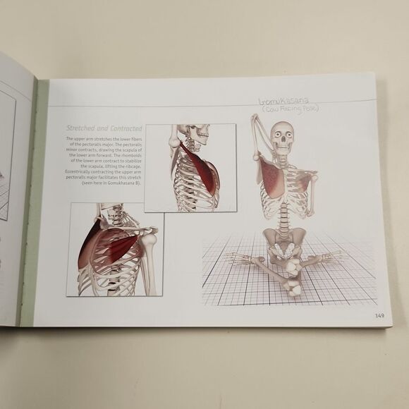 The Key Muscles of Yoga Book 2006 - Picture 9 of 12